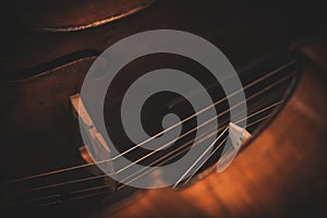 Beautiful classic cellos and double basses - Closeup - Wallpaper