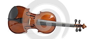 Beautiful classic violin isolated. Musical instrument