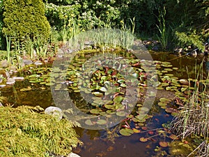 Beautiful classical garden fish pond gardening background