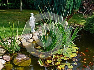 Beautiful classical garden fish pond gardening background