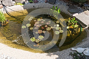 Beautiful classical garden fish pond