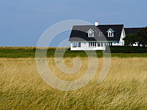 Beautiful classical summer house in the middle of nature