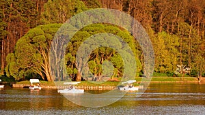 Beautiful clean European park with a beautiful view of the lake