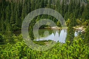 A beautiful, clean lake in the mountain valley in calm, sunny day. Mountain landscape with water in summer.