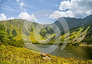 Krásné, čisté jezero v horském údolí za klidného slunečného dne. Horská krajina s vodou v létě.