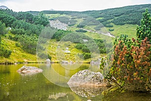 A beautiful, clean lake in the mountain valley in calm, sunny day. Mountain landscape with water in summer.