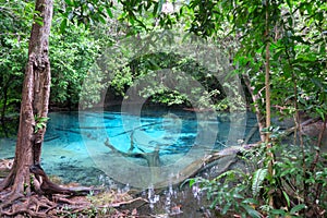 Beautiful and clear blue water pool