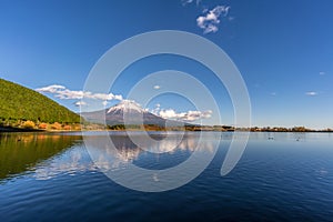 Beautiful clear sky, ducks swimming at Tanuki Lakeç”°è²«æ¹–. Fuji mountain reflections. Fujinomiya-shi, Japan