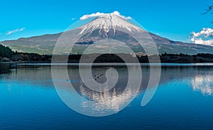 Beautiful clear sky Sunset, ducks swimming at Tanuki Lake(Tanukiko). Shizuoka prefecture, Fujinomiya-shi, Japan