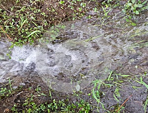 Beautiful, clear water flowed between the grass and the ground at the base