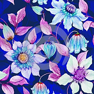 Beautiful clematis flowers on climbing twigs against ultramarine background. Seamless floral pattern. Watercolor painting. photo