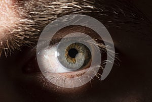 Beautiful close up human eye. Macro photography.