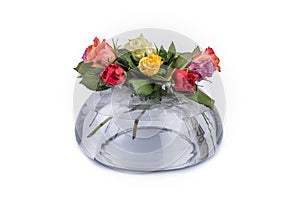 Beautiful close-up multi color roses in a transparent vase over w