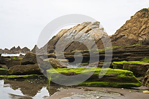 Beautiful close up on rocks on sandy volcanic azkorri beach near bilbao on spanish atlantic coast in basque country, spain