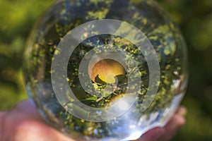 Beautiful close up view of apple fruit though crystal ball.