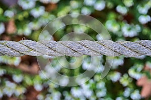 Close up view of old common natural fibers rope on green spring background with soft and selective focus. Rope fence