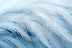 Beautiful closeup feather background in light blue colors. Macro texture of colorful fluffy feathers from tropical bird