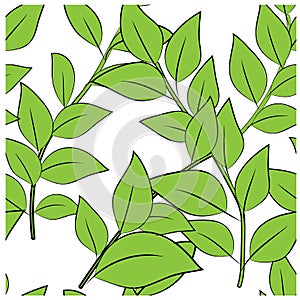 Beautiful closeup of green leaves for decoration design. Abstract green color background. Vector fabric seamless pattern