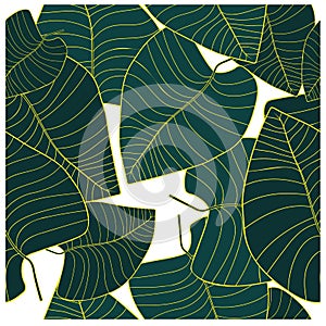 Beautiful closeup of green leaves for decoration design. Abstract green color background. Vector fabric seamless pattern