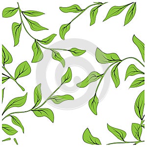 Beautiful closeup of green leaves for decoration design. Abstract green color background. Vector fabric seamless pattern