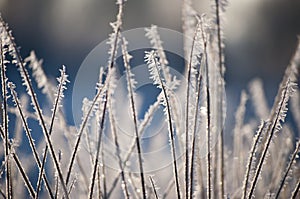 Beautiful closeup of ice crystals on grass