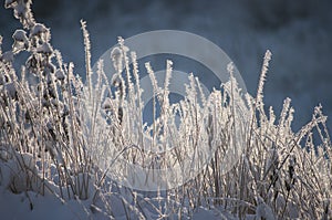 Beautiful closeup with rime crystals on grass in the autumn morning