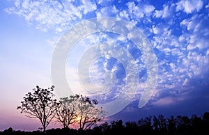 Beautiful cloud in evening Sunset