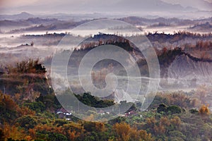 Beautiful cloud, fog with yellow bamboo and hill