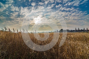 Beautiful cloud formation and dried yellow grass