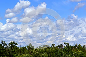 Beautiful clouds above the plain 1