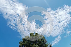 Beautiful clouds accompanying the green clove trees, photo