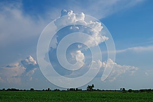 Beautiful clouds against a blue sky background. White cloud sky. Blue sky with cloudy weather, nature cloudiness over green field.