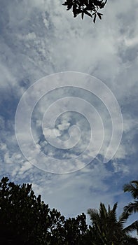 Beautiful clouds. The clouds are white. The sky is blue and beautiful.