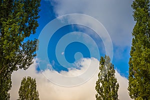 Beautiful clouds and moon during the daytime. Moon in the daytime on a cloudy blue sky, surrounded by green trees