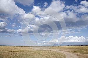 Beautiful clouds and open Grassland of Ol Pejeta Conservancy, Kenya