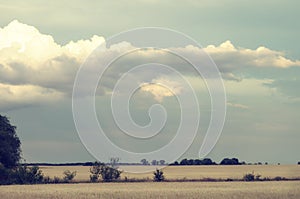 Beautiful clouds over the evening fields. Cloudy day in a picturesque summer valley.