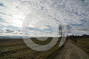 Beautiful clouds over the green meadow, paths and trees, during sunrise or sunset.