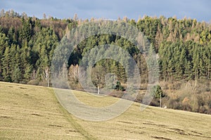 Krásné mraky nad zelenou loukou, cestami a stromy, při východu nebo západu slunce.