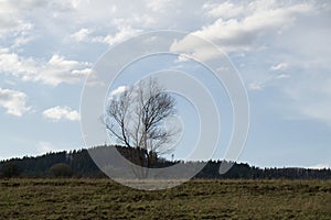 Krásne oblaky nad zelenou lúkou, cestičkami a stromami, pri východe alebo západe slnka.