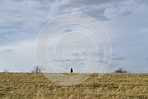 Krásné mraky nad zelenou loukou, cestami a stromy, při východu nebo západu slunce.