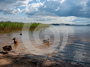 Beautiful clouds over lake in summer sunny day with reflections