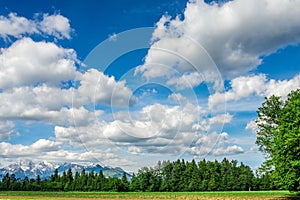 Beautiful cloudscape above green trees