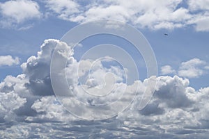 Beautiful cloudscape blue gradient with seagulls and birds photo