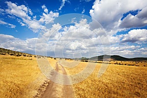 Beautiful cloudscape over arid African savannah