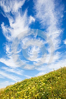 Beautiful cloudscape over green meadow