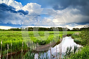 Beautiful cloudscape over river