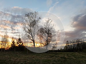 Beautiful cloudscape. Sunset landscape with forest.