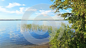 A beautiful cloudy sky in the evening over the lake. The branches of trees and bushes, illuminated by the rays of the setting sun,