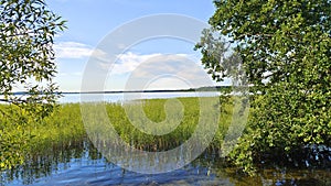 A beautiful cloudy sky in the evening over the lake. The branches of trees and bushes, illuminated by the rays of the setting sun,