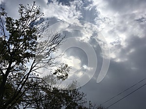 Beautiful cloudy sky, trees